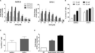 Sunitinib Exerts In Vitro Immunomodulatory Activity on Sarcomas via Dendritic Cells and Synergizes With PD-1 Blockade